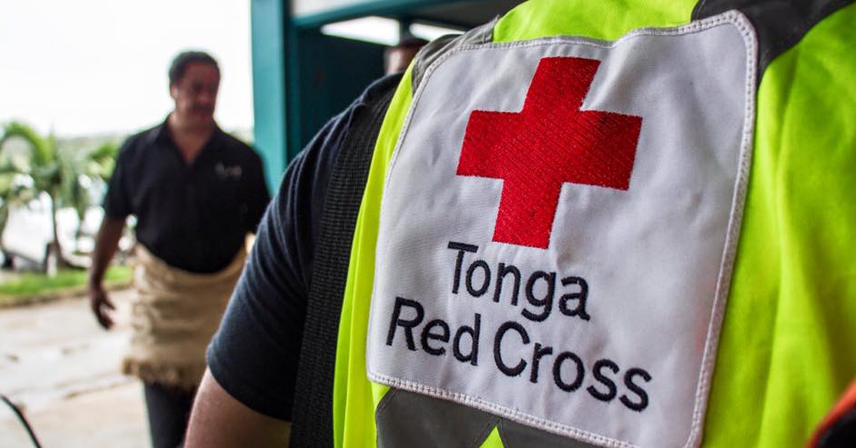 american red cross case analysis